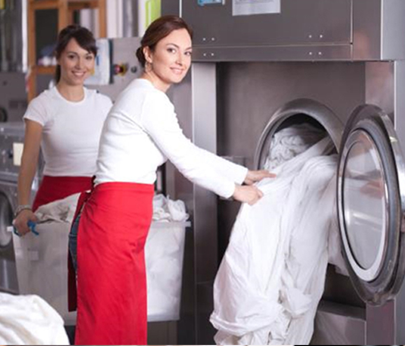 Website & Social Links